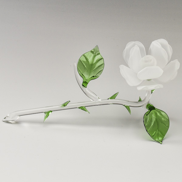 Rose Lying White Frosted 