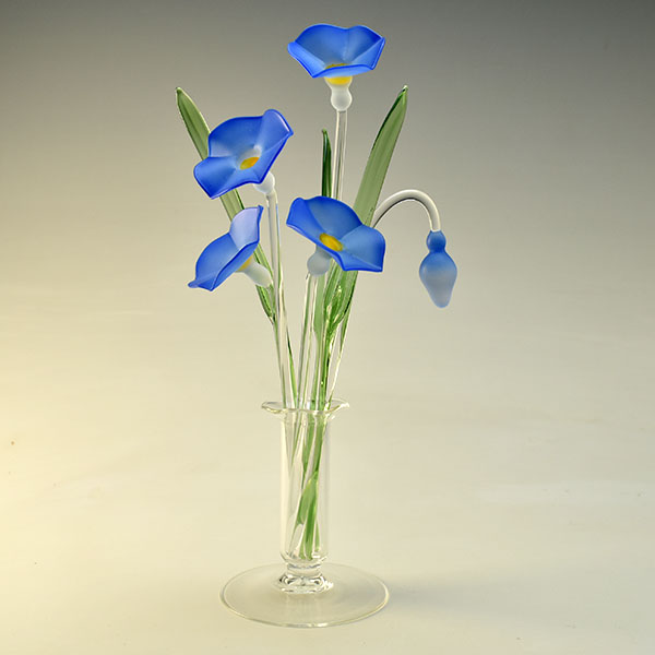 Morning Glory Medium